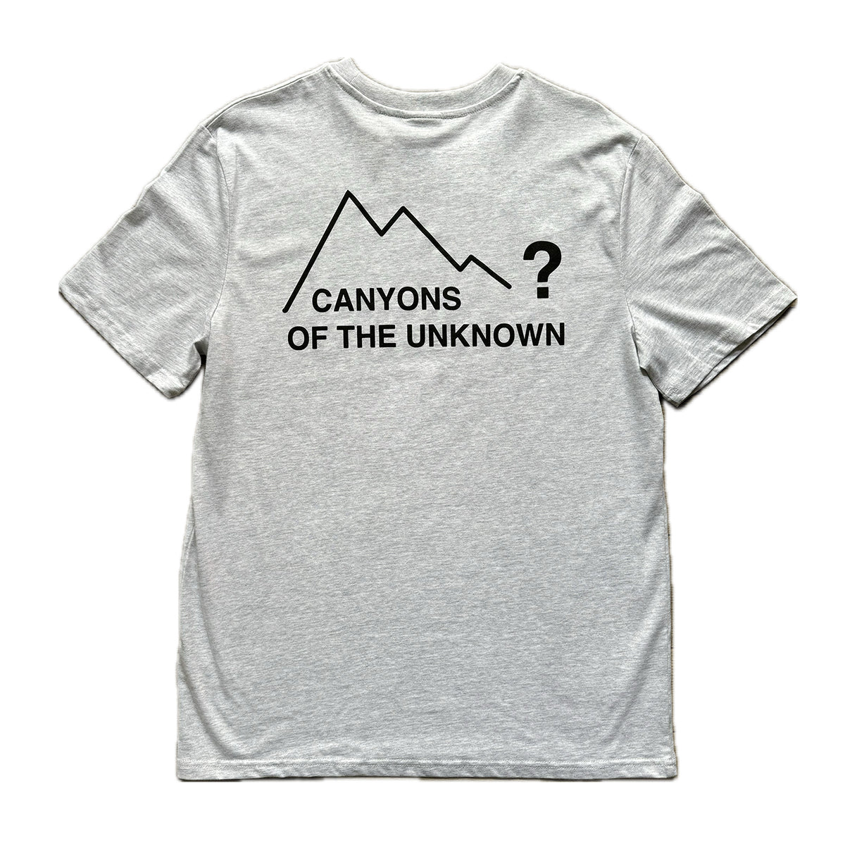 LOGO T-SHIRT HEATHER GREY – canyonsoftheunknown