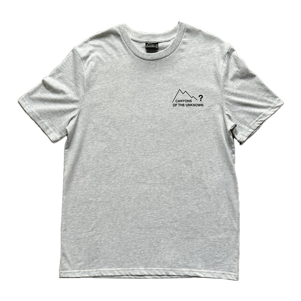 LOGO T-SHIRT HEATHER GREY